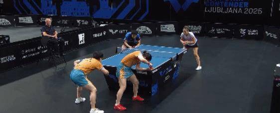 关于莎拉波娃遭遇五连败，MAD教练面临压力！的信息